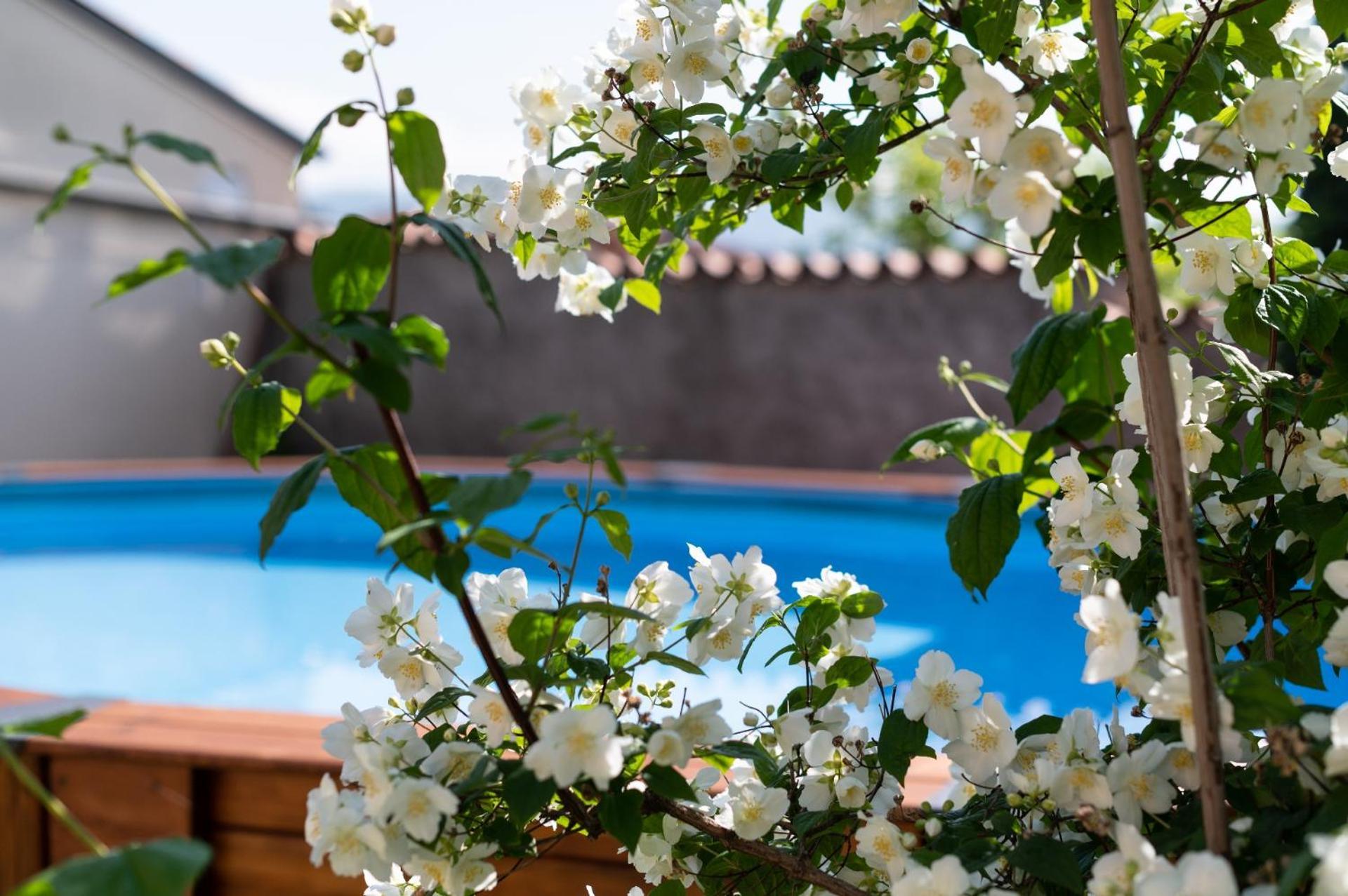 Agriturismo El Crear San Pietro in Cariano Dış mekan fotoğraf