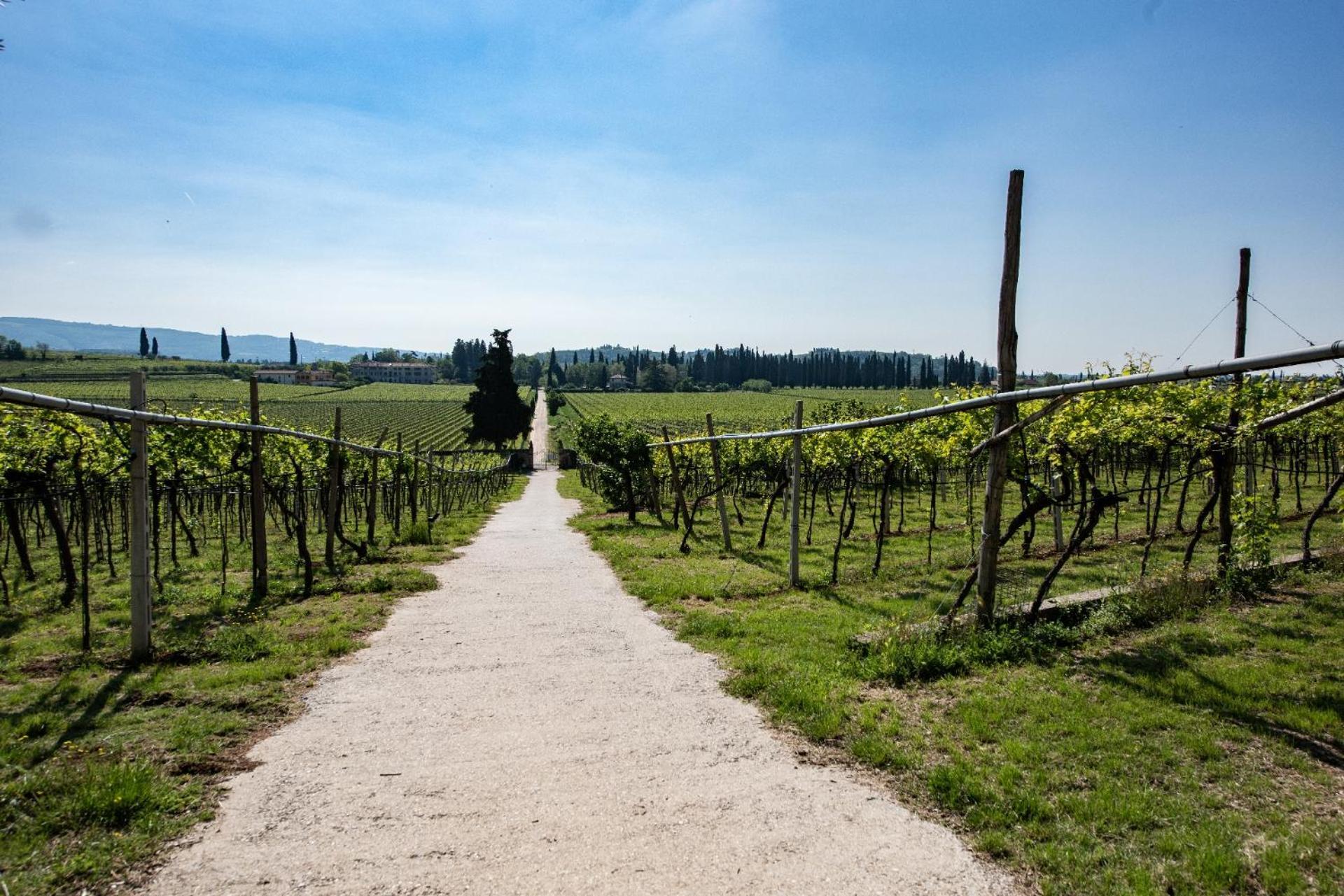 Agriturismo El Crear San Pietro in Cariano Dış mekan fotoğraf