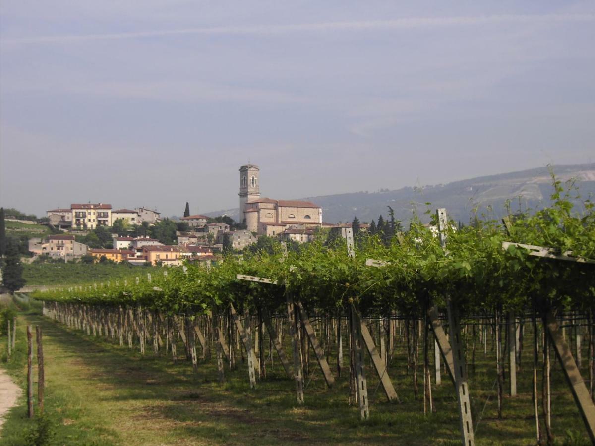 Agriturismo El Crear San Pietro in Cariano Dış mekan fotoğraf
